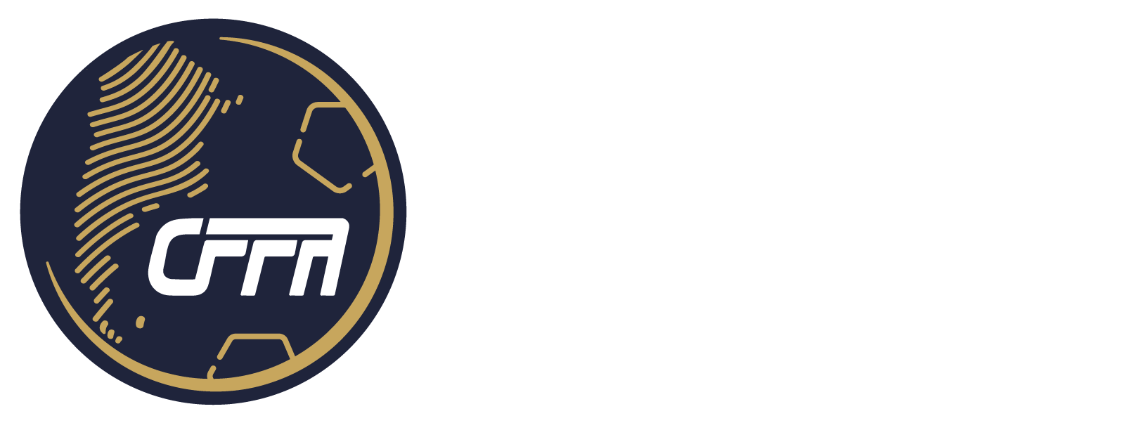 Consejo Federal Del Fútbol Argentino